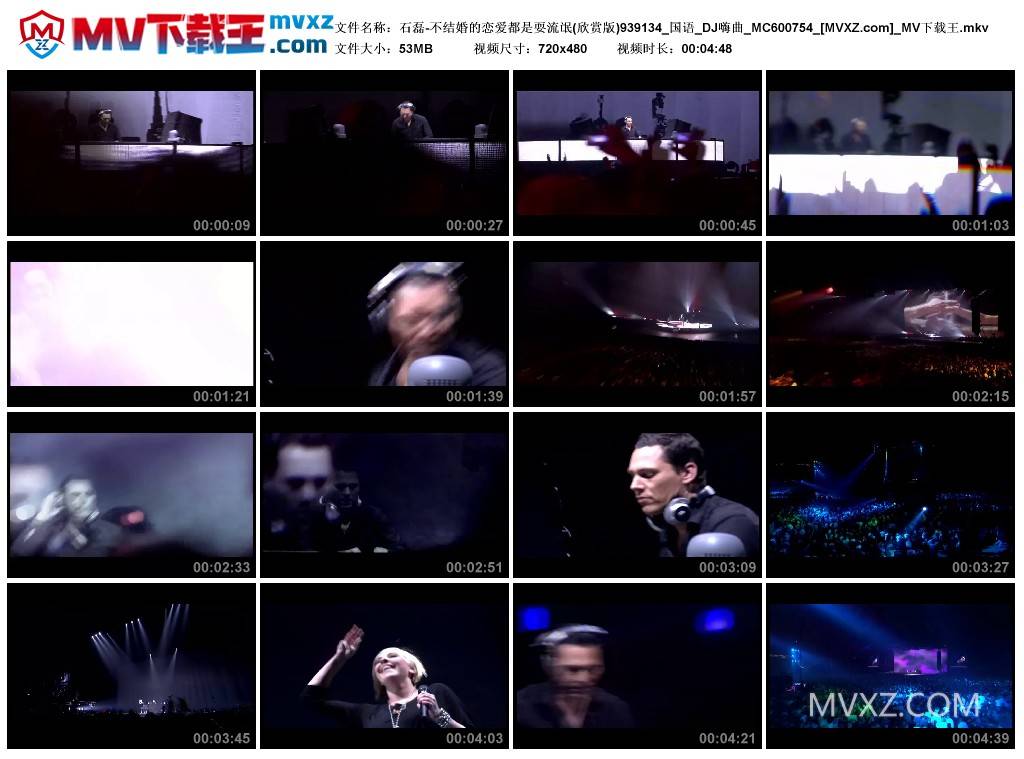 石磊-不结婚的恋爱都是耍流氓(欣赏版)939134_国语_DJ嗨曲_MC600754